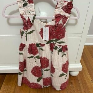 Pink Chicken Red and Green Floral Dress